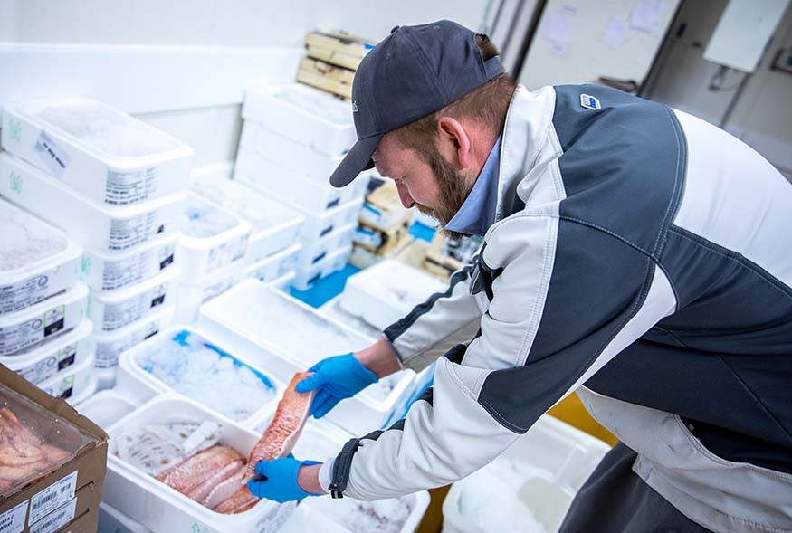 Produktbild: Frischeparadies kommi 22000 tonnen